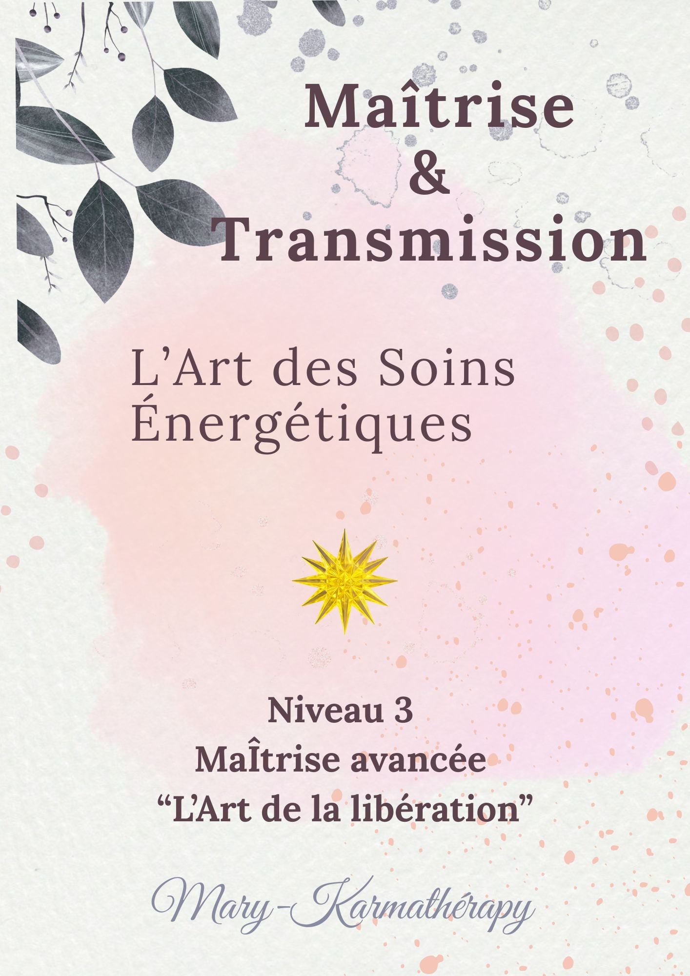 Formation Art des Soins Énergétiques — Niveau 3 — Passeur d'Âmes & Soins Avancés